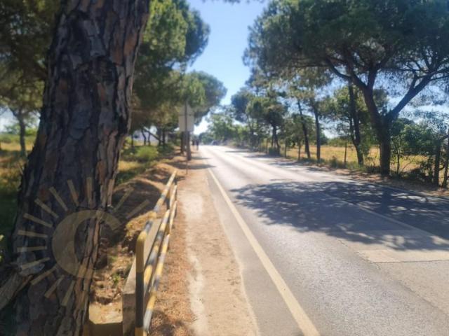 Terreno venda em Loulé, Faro