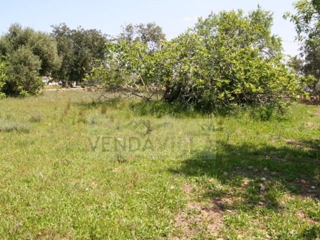 Terreno venda em Loulé, Faro