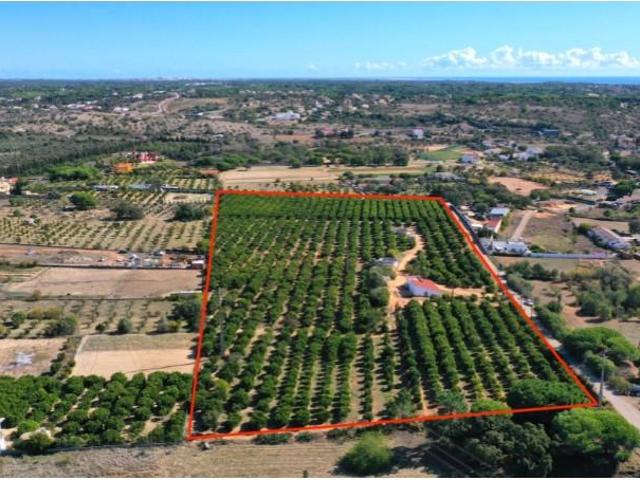 Terreno venda em Vilamoura, Loulé