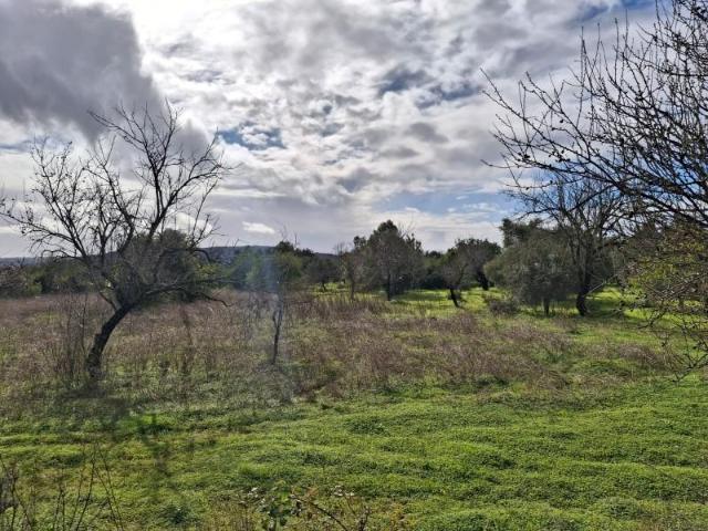 Terreno venda em Vale Telheiro, Loulé