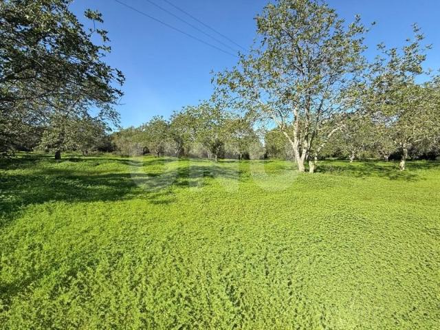 Terreno venda em Loulé, Faro