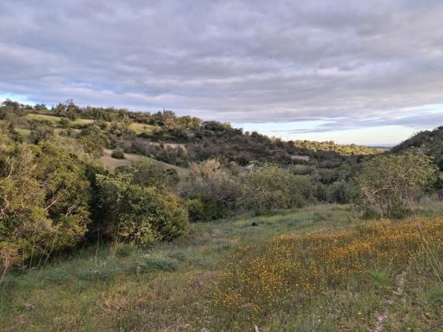 Terreno venda em Loulé, Faro