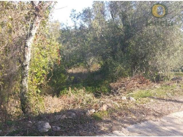 Terreno venda em Loulé, Faro