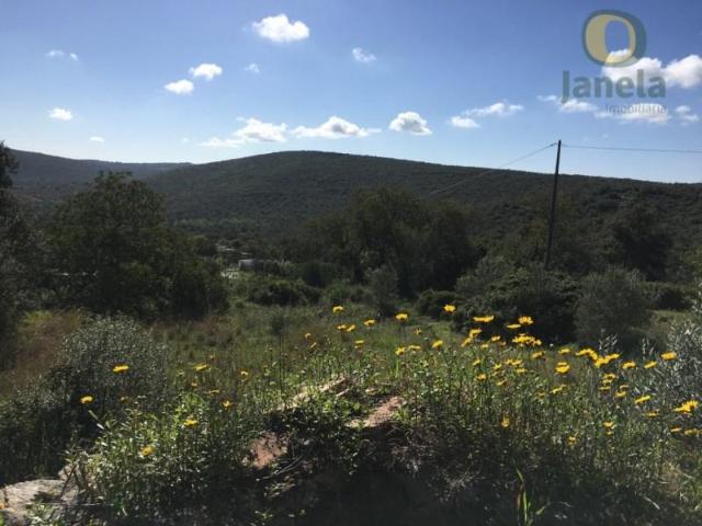 Terreno venda em Loulé, Faro