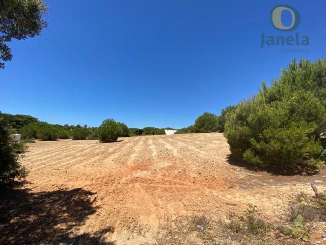 Terreno venda em Loulé, Faro