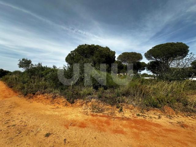 Terreno venda em Loulé, Faro