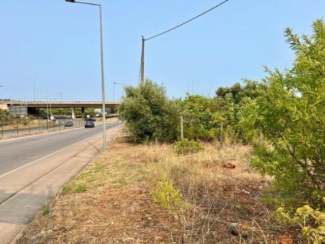 Terreno venda em Loulé, Faro