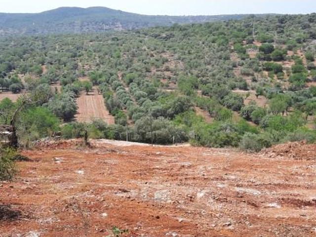 Terreno venda em Loulé, Faro