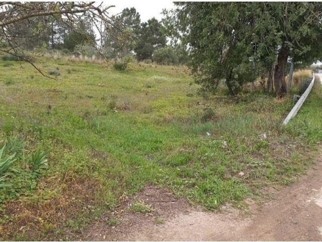 Terreno alugar em Loulé, Arzinha