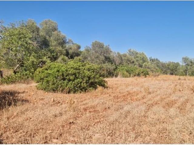 Terreno venda em Loulé, Faro