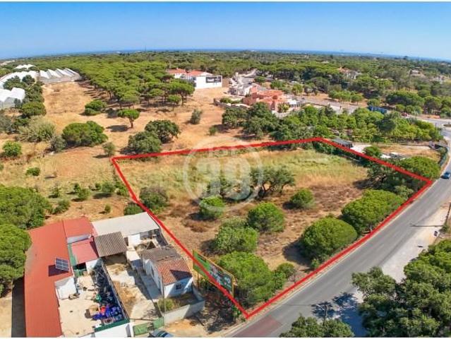 Terreno venda em Loulé, Faro