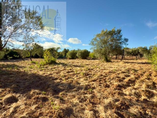 Terreno venda em Loulé (São Clemente), Loulé