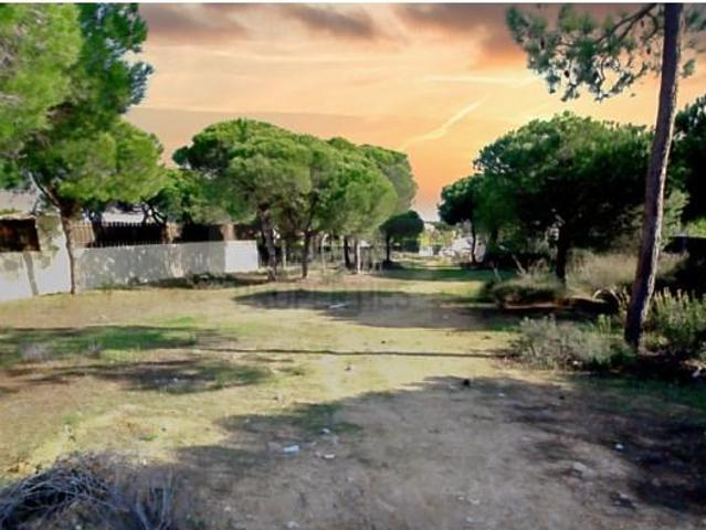 Terreno venda em Loulé, Faro