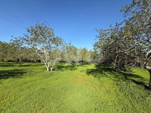 Terreno alugar em Loulé