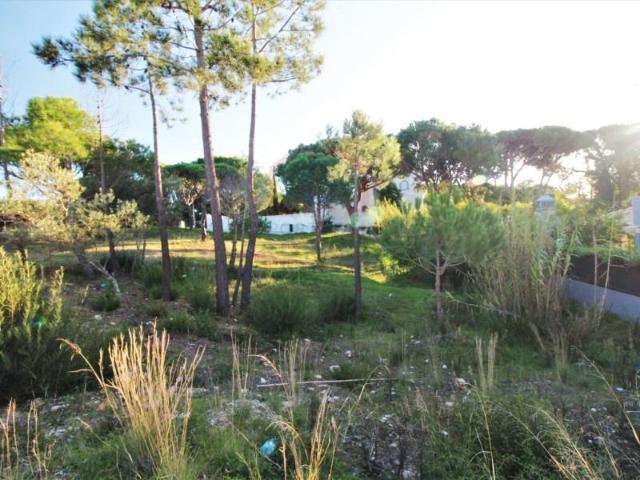 Terreno venda em Parque Atlântico, Loulé