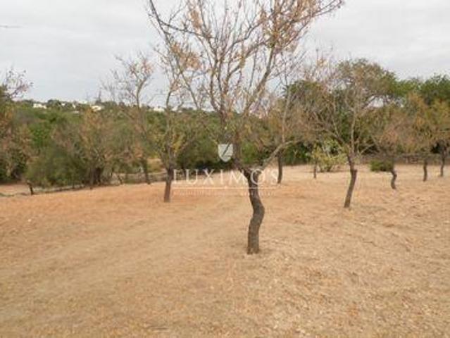 Terreno venda em Loulé, Faro