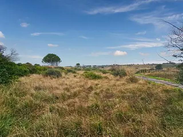 Terrain vente à Montpellier, Loupian