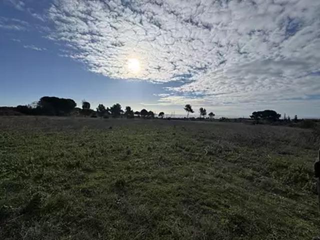 Terrain vente à Montpellier, Loupian