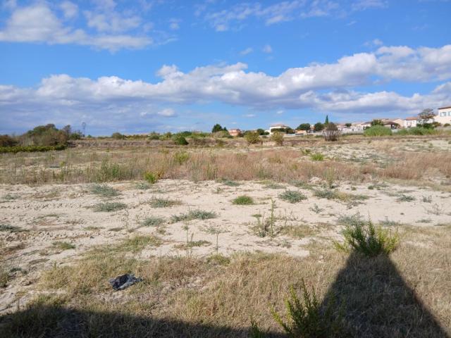 Terrain vente à Montpellier, Loupian