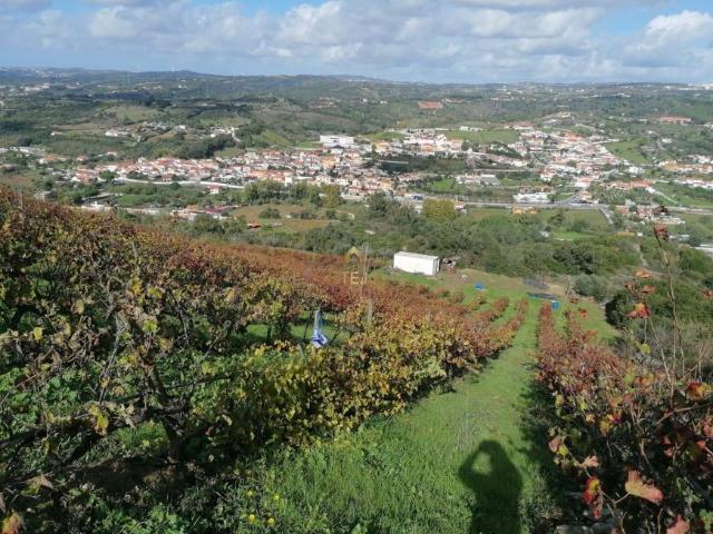 Terreno venda em Santiago Dos Velhos, Lisboa