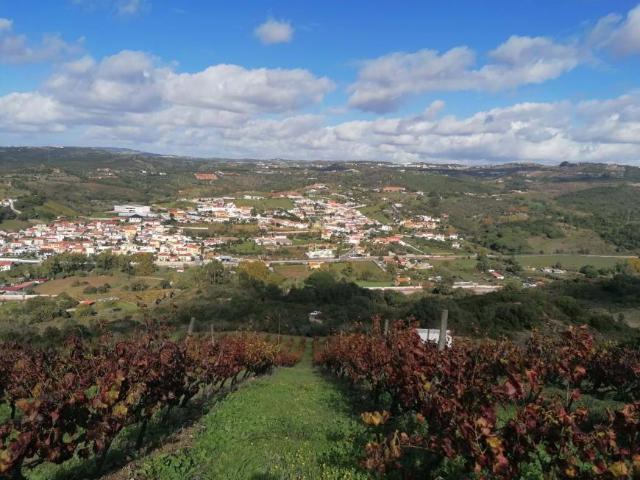 Terreno venda em Santiago Dos Velhos, Lisboa