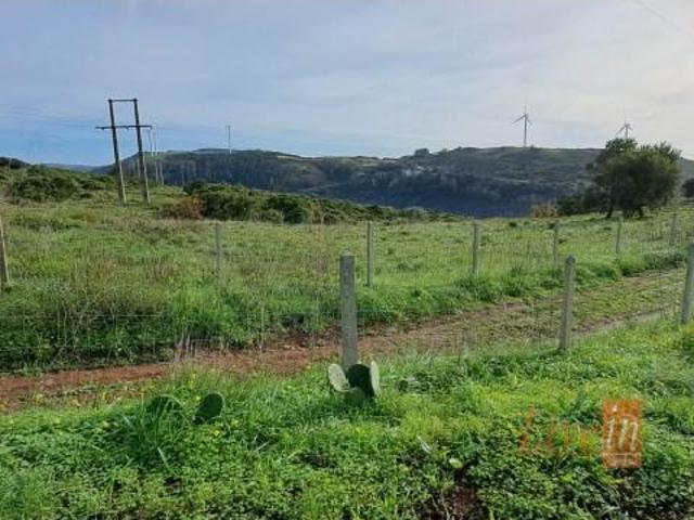 Terreno venda em Ribas de Cima, Santiago Dos Velhos