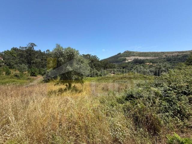 Terreno venda em Torneiro, Santiago Dos Velhos