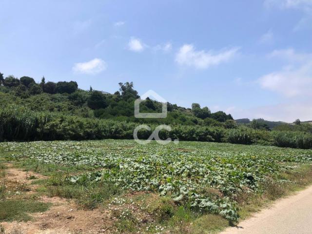 Terreno venda em Lourinhã, Lisboa