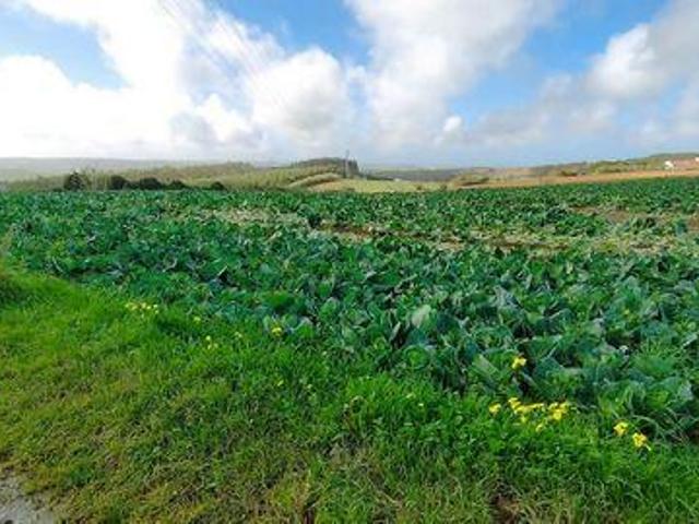 Terreno venda em São Bartolomeu dos Galegos e Moledo, Lourinhã