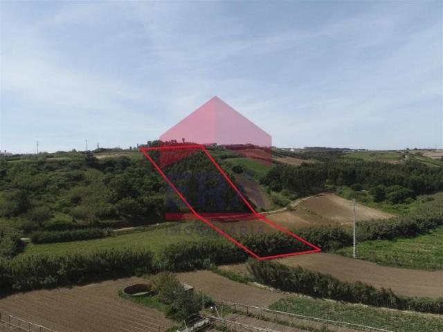 Terreno venda em Lourinhã, Lisboa