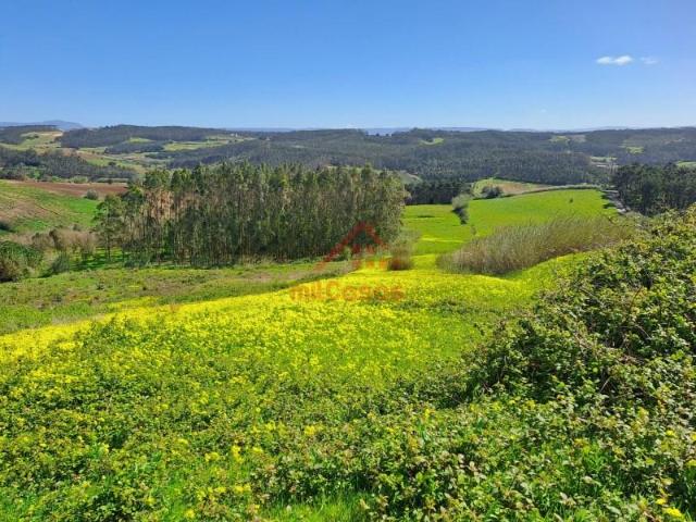 Terreno venda em Lourinhã, Lisboa