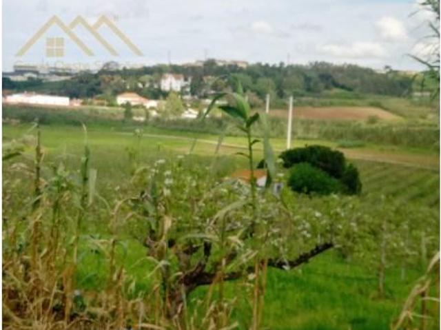Terreno venda em Lourinhã, Lisboa