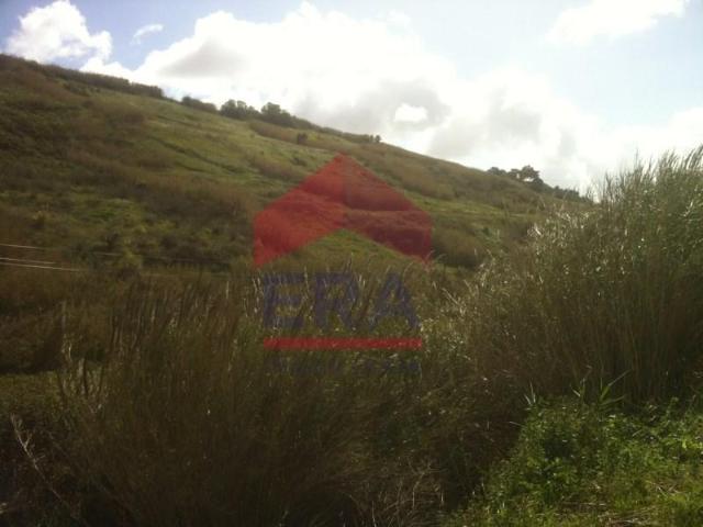 Terreno venda em Lourinhã, Lisboa