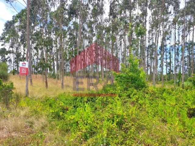Terreno venda em Lourinhã, Lisboa