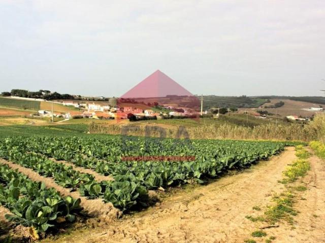 Terreno venda em Lourinhã, Lisboa