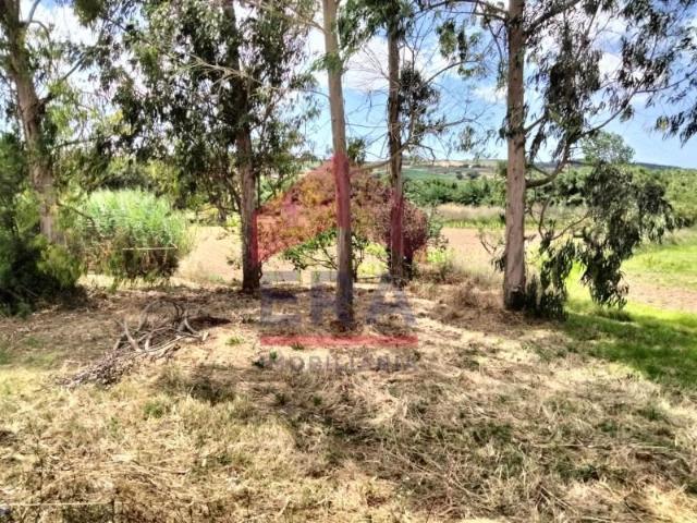 Terreno venda em Papagovas, Lourinhã