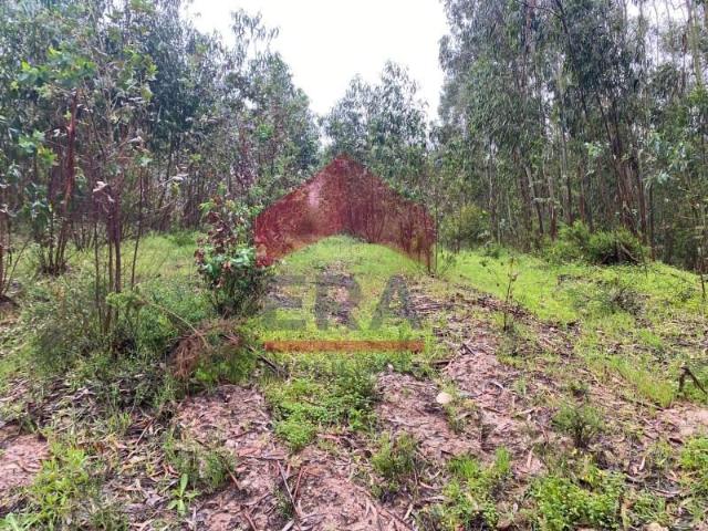 Terreno venda em Lourinhã, Lisboa