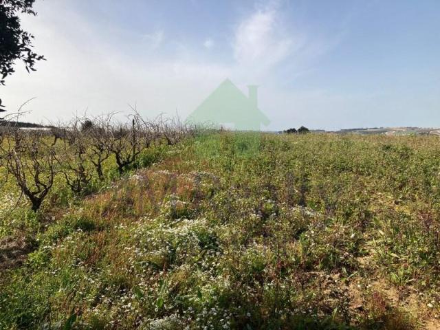 Terreno venda em Lourinhã, Lisboa