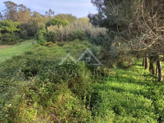 Terreno venda em Lourinhã, Lisboa