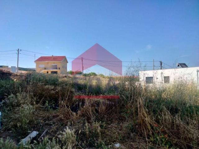 Terreno venda em Lourinhã, Lisboa