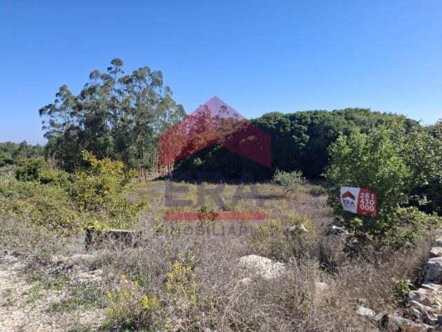 Terreno venda em Lourinhã, Lisboa
