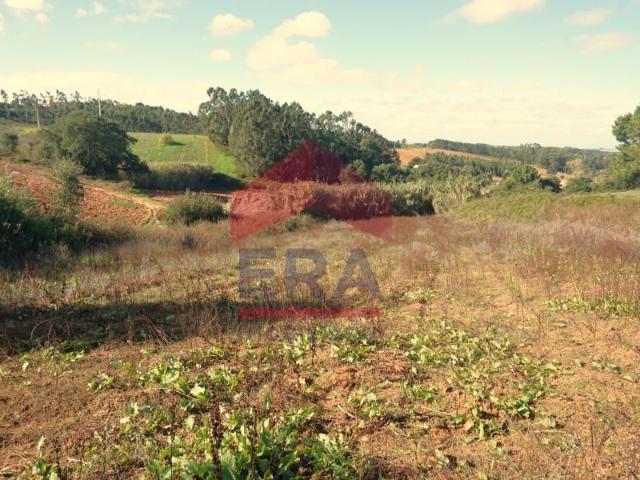 Terreno venda em Torres Vedras, Lisboa