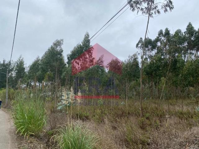 Terreno venda em São Bartolomeu dos Galegos e Moledo, Lourinhã