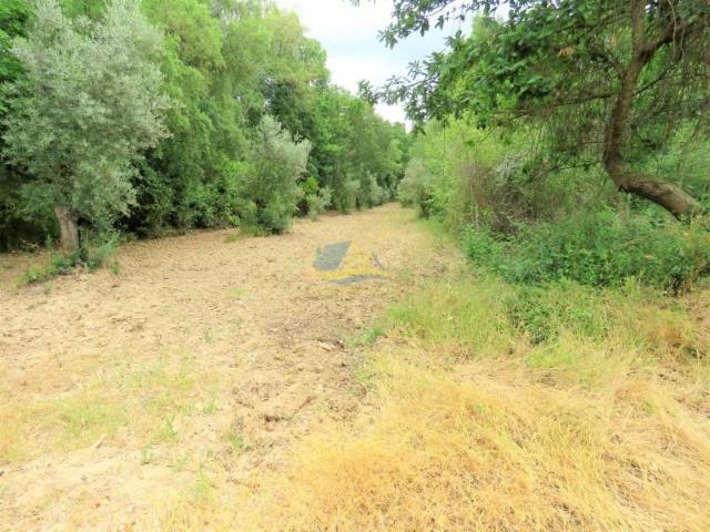 Terreno venda em Lousã, Coimbra