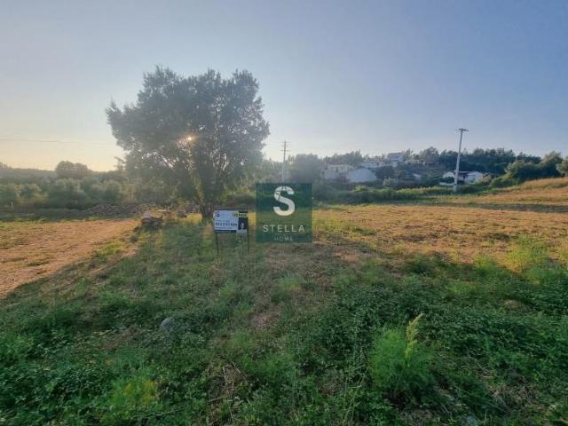 Terreno venda em Lousã, Coimbra