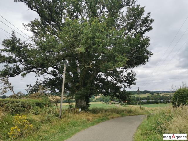 Terrain vente à Mirande, Loussous-débat