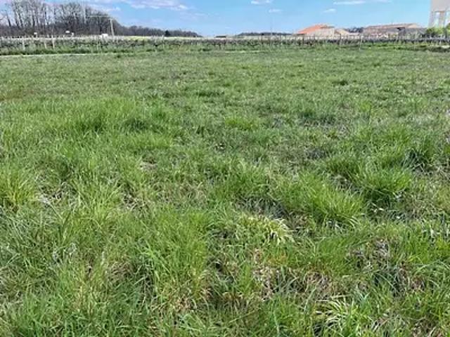 Terrain vente à France métropolitaine, Louzac-saint-andré