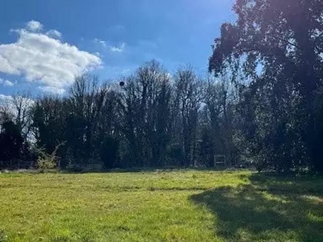 Terrain vente à France métropolitaine, Louzac-saint-andré