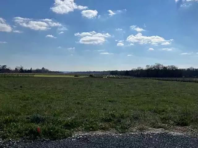 Terrain vente à Cognac, Louzac-saint-andré