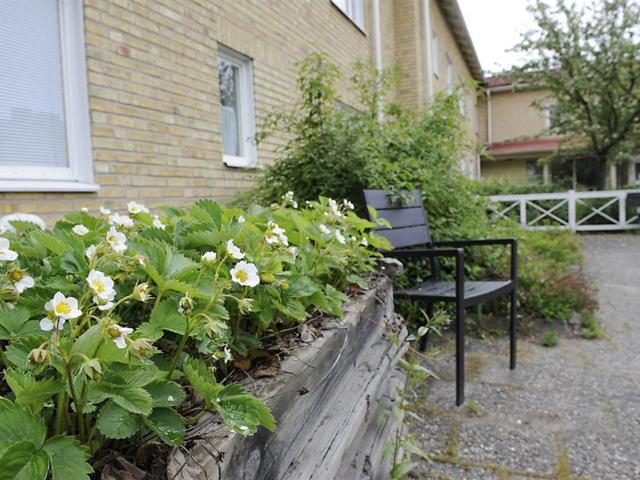 Lägenhet hyra i Lövånger, Västerbotten
